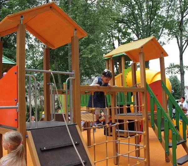 cat-play-equipment-pic (2)
